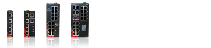 红狮的 Sixnet® 系列 SLX